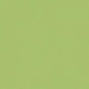 Paint and Paper Library Artichoke Paint